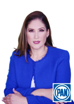 diputados diputados