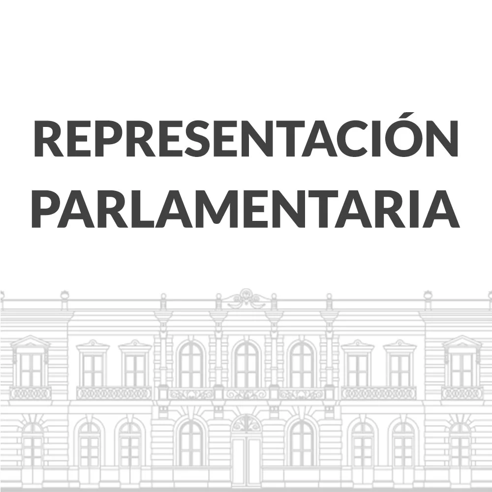 logo-representacion
