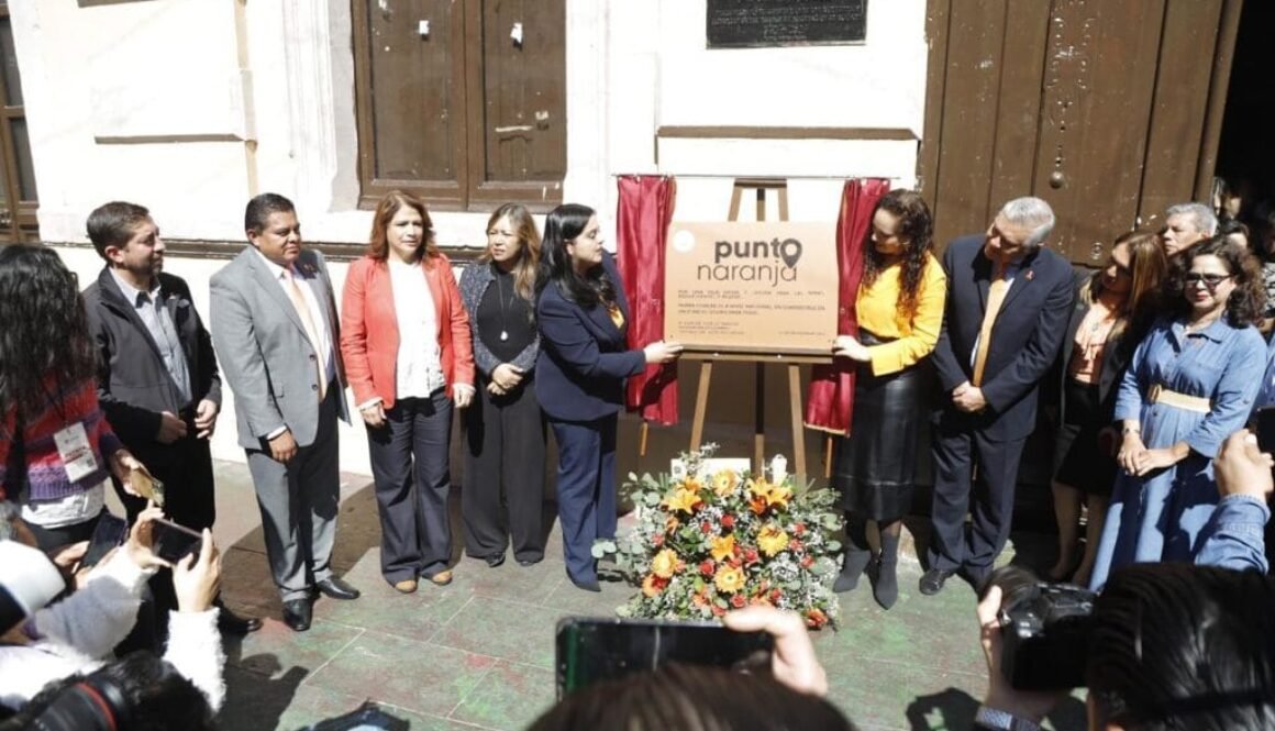 WhatsApp Image 2024-11-25 at 1.36.49 PM