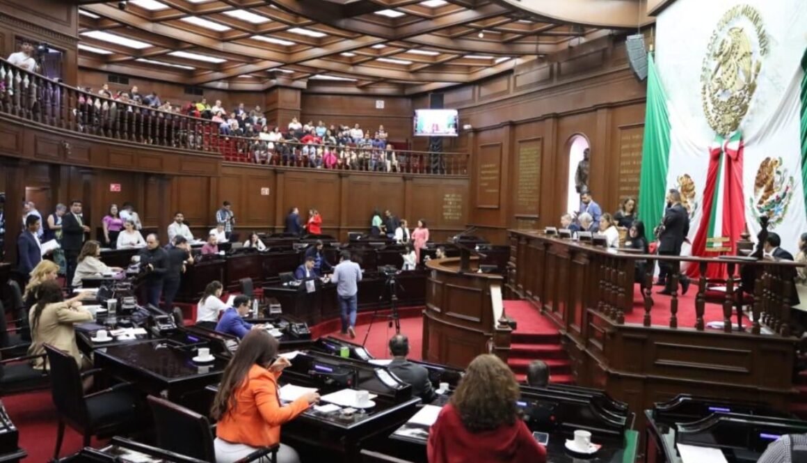 WhatsApp Image 2025-03-20 at 11.46.36 AM