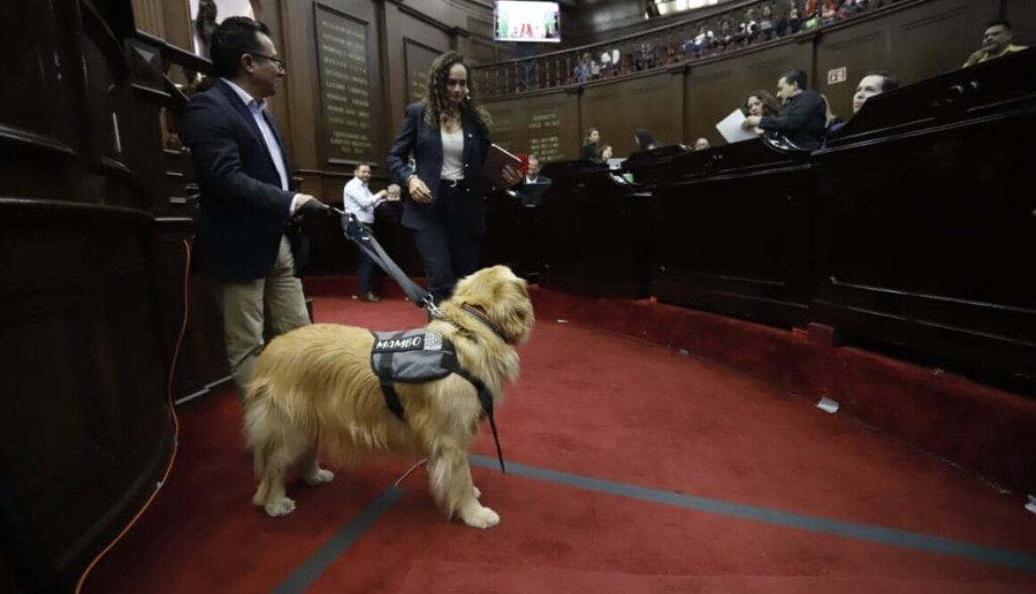 WhatsApp Image 2025-10-29 at 2.22.24 PM