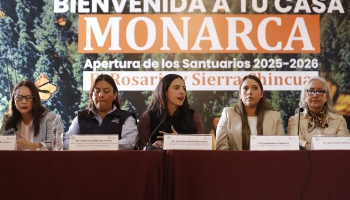 WhatsApp Image 2025-11-18 at 12.21.21 PM