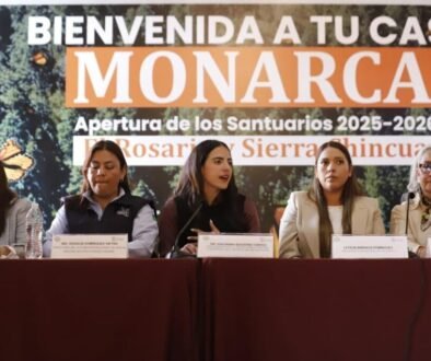 WhatsApp Image 2025-11-18 at 12.21.21 PM