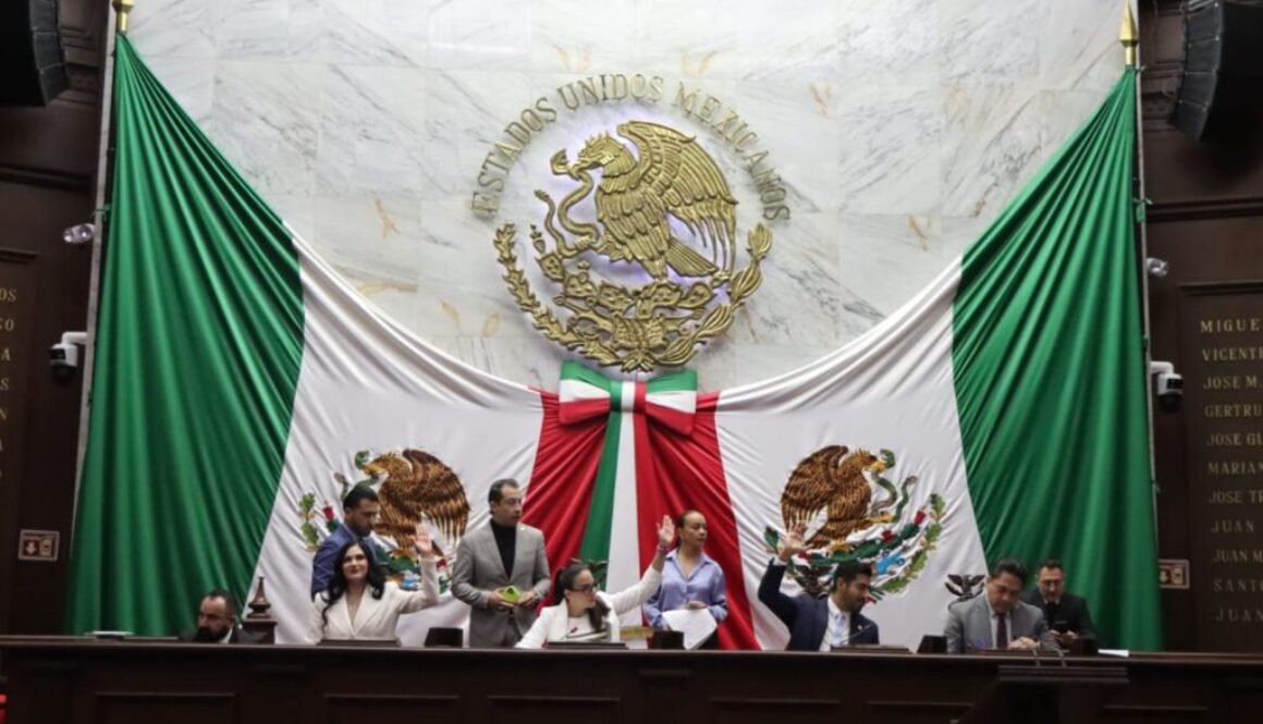 WhatsApp Image 2026-02-12 at 1.31.05 PM