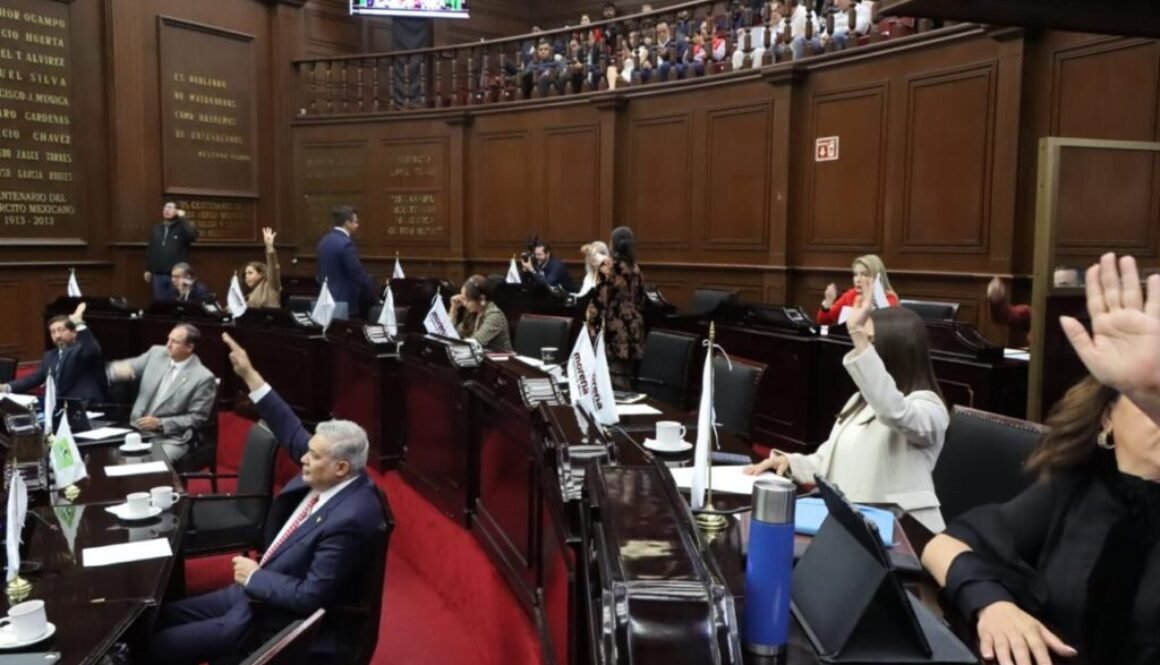 WhatsApp Image 2026-02-12 at 1.35.10 PM