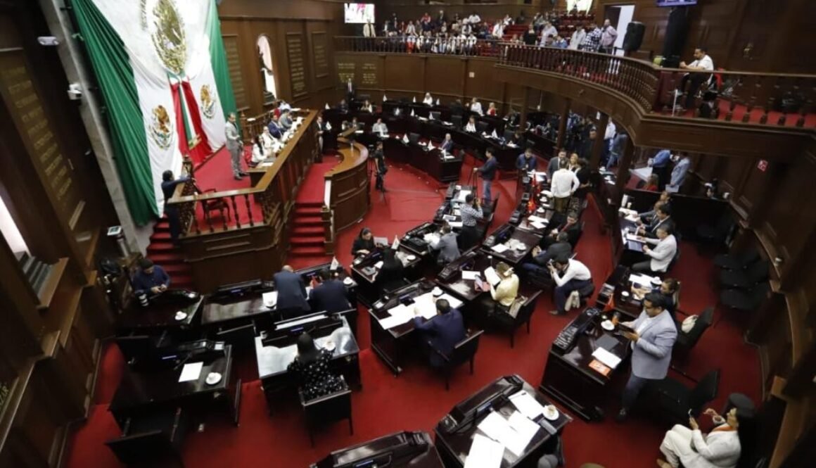 WhatsApp Image 2026-02-12 at 2.14.59 PM