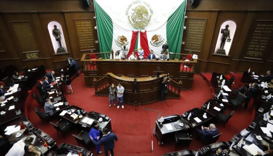 WhatsApp Image 2026-02-12 at 3.57.52 PM