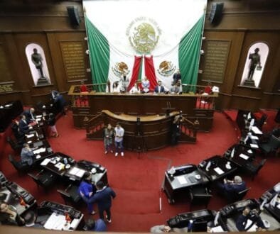 WhatsApp Image 2026-02-12 at 3.57.52 PM