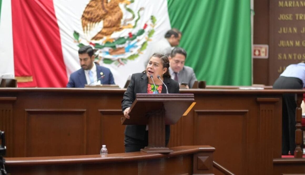 WhatsApp Image 2026-02-12 at 6.26.05 PM