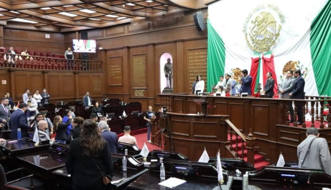 WhatsApp Image 2026-02-13 at 9.47.40 AM