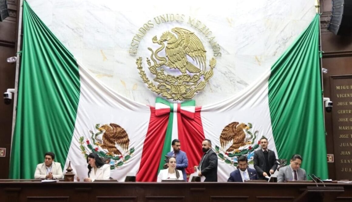 WhatsApp Image 2026-02-13 at 9.49.26 AM